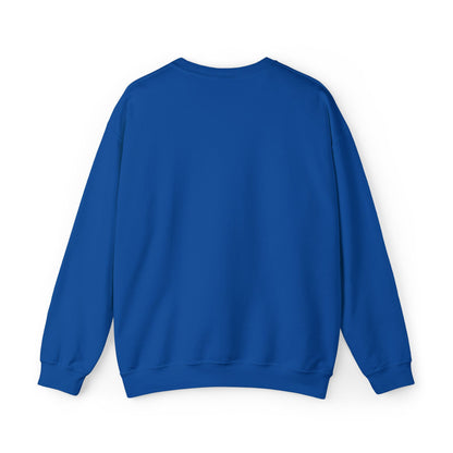 Books Lover Sweatshirt — “There Is No Such Thing As Too Many BOOKS” Cozy Crewneck