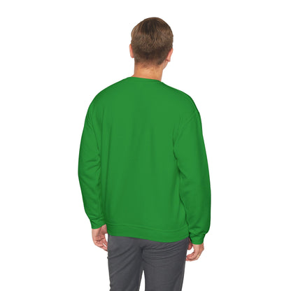 Books Lover Sweatshirt — “There Is No Such Thing As Too Many BOOKS” Cozy Crewneck